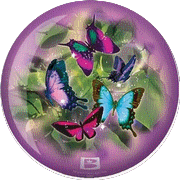 Viz-a-Ball Butterfly