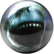 Spare Shark